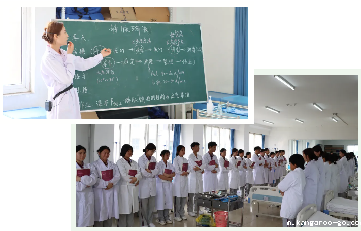 潜心研教学|走进李玉洁老师的公开课