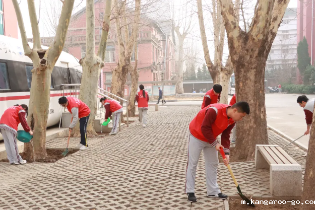 揽中华之瑰宝 展青春之风采——我校成功举行植树节主题活动